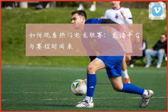 如何观看热门电竞联赛:直播平台与赛程时间表